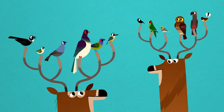 Regardez le film pour enfants : Spring Jam