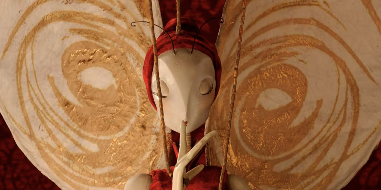 子ども向け短編映画：「蝶の女性」をご覧ください