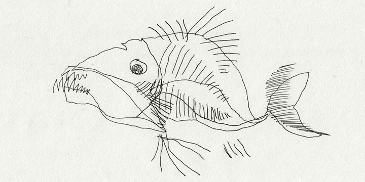 Regardez le film pour enfants : Strange fish